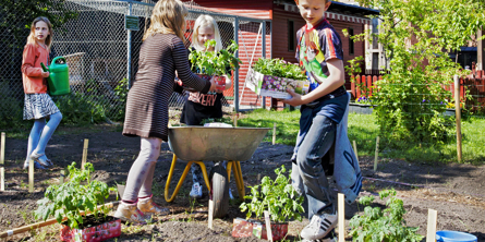 Børn i køkkenhave 
