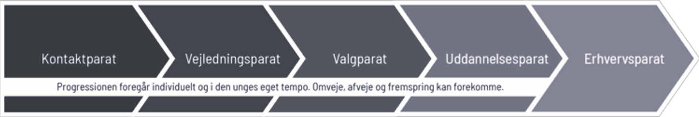 Grafisk fremstilling af de 5 indikatorer i ungeprogressionen - beskrives nedenfor