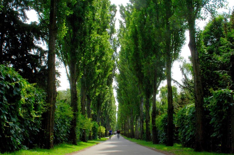 To cyklister på Assistens Kirkegaard