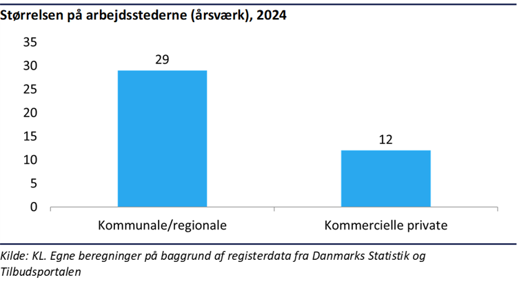 Størrelsen op arbejdsstederne (årsværk) i 2024