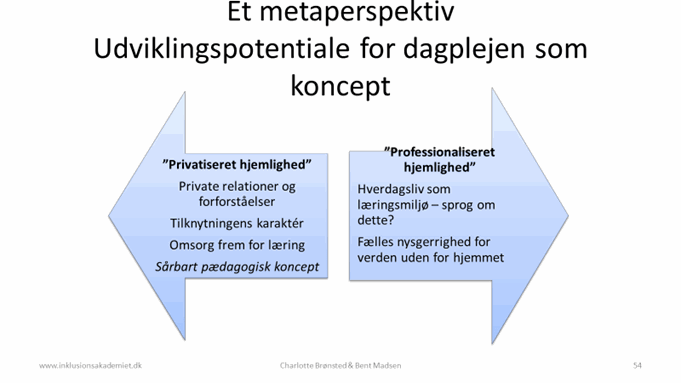 Et metaperspektiv - udviklingspotentiale for dagplejen som koncept